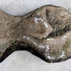 🍓 エッ！？魚型の石／石のオブジェ／ W約40cm×D約23cmの画像