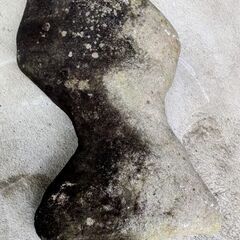 🍓 エッ！？魚型の石／石のオブジェ／ W約40cm×D約23cmの画像