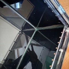 レプタイルボックス黒の画像