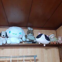 無料ホームセンターやってます😼の画像