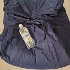 京都西川　羽毛掛布団　ダウン93%高品質の画像