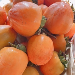 渋柿 10個 300円の画像