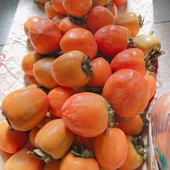 渋柿 10個 300円の画像