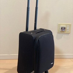 キャリーバッグの画像