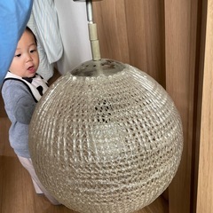 球体　　照明カバー　照明　電気の画像