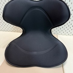 美品 MTG スタイルスマート 骨盤姿勢クッション ボディメイクシートの画像