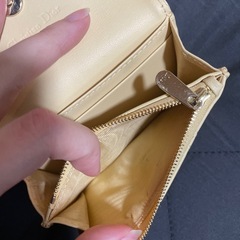 美品✨My Dior Glycine ウォレットの画像