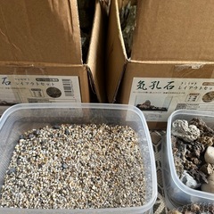 水槽レイアウト石の画像