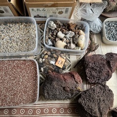 水槽レイアウト石の画像