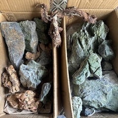 水槽レイアウト石の画像