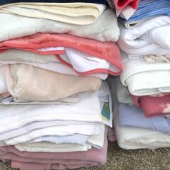 配達先決定🚚　無料配達します🚚商品養生・保護猫活動されてる方に！💖毛布大量💖まとめて無料で！💖の画像