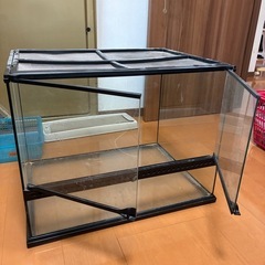 グラステラリウム 60×45の画像