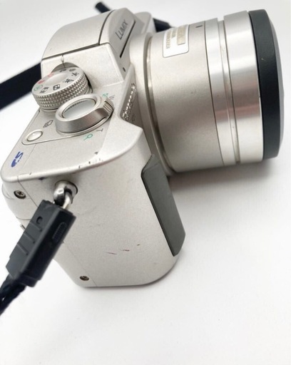 Panasonic DMW-FZ1