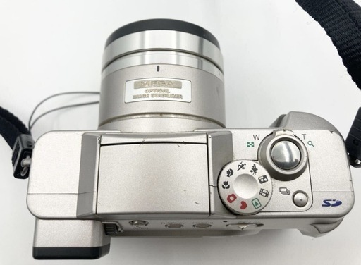 Panasonic DMW-FZ1