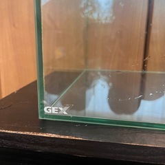 45cmガラス水槽 GEX グラステリア450（水槽本体のみ・中古） の画像