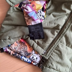 ヒスミニアウターの画像