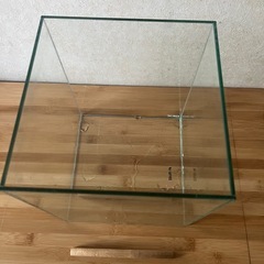 魚飼うセットの画像