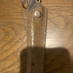 【あげます】ペン携帯用ケース（写真のボールペンは違います）の画像