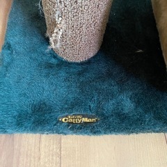 キャットタワー/猫の爪研ぎ
の画像