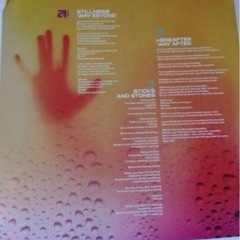 【未使用品】　Physical Thrills レコード　2枚セットの画像