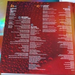 【未使用品】　Physical Thrills レコード　2枚セットの画像