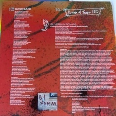 【未使用品】　Physical Thrills レコード　2枚セットの画像