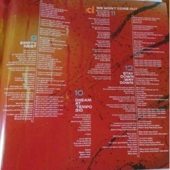 【未使用品】　Physical Thrills レコード　2枚セットの画像