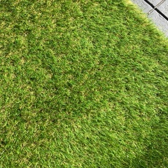 人工芝　5m✖️50cmの画像