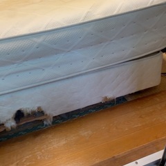 🛏【0円譲渡】クィーンサイズベッド＆マットレス（大塚家具Kingston）搬出お手伝いで謝礼あり！の画像