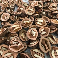 鬼胡桃ー②の画像