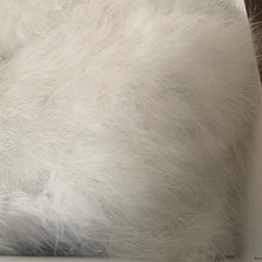 振袖ショール　成人式
の画像