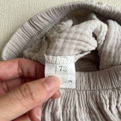 グレーブルマの画像