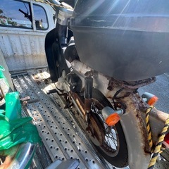 セル付きリトルカブ売りの画像