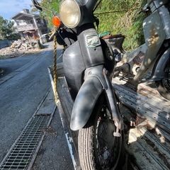 セル付きリトルカブ売りの画像