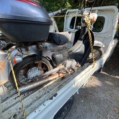 セル付きリトルカブ売りの画像