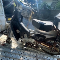 セル付きリトルカブ売りの画像