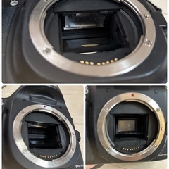 カメラ　一眼レフ　ボディのみ　の画像