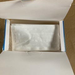 うるふわ冷感マスク27枚　個別包装の画像