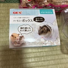 ハムスター色々セットの画像