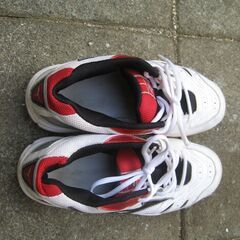 アシックス　24.5cmの画像