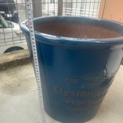 大きい花鉢の画像