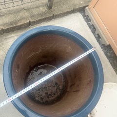大きい花鉢の画像