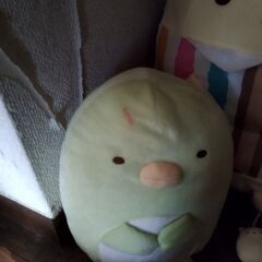 すみっコぐらし　ぬいぐるみ　中古の画像