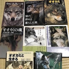 動物のオオカミ大好きさん交流会🐺❤️