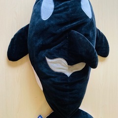 しゃち　ぬいぐるみ　抱きまくら　大きい　かわいいの画像