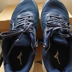 お話し中)mizuno 紳士26cm ファスナー仕様の画像