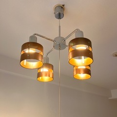 シーリングライトの画像