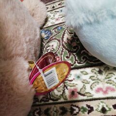 くま　ふわふわぬいぐるみ　2体の画像