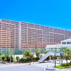 【スターコート豊洲】新規リフォーム後にお引渡し 広い５６．…