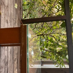 テーブル
の画像